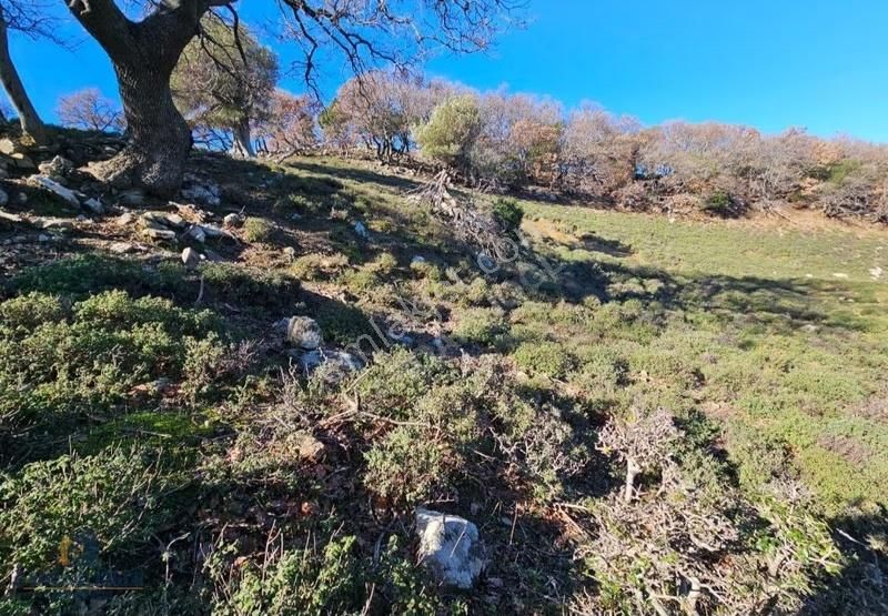 Çanakkale Gökçeada Tepeköyde Satılık Tarla