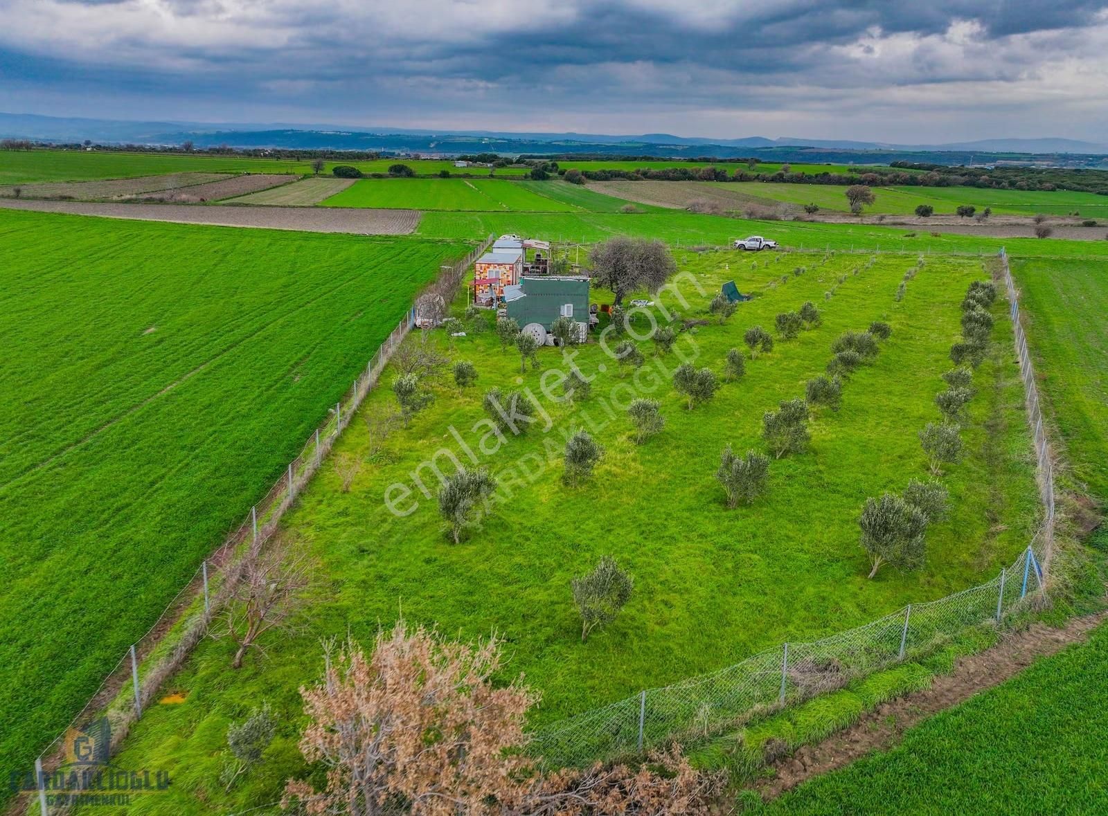 Çanakkale Kumkale İçerisinde Zeytinlik Ve Konteynır Olan Tarla - Görsel 14