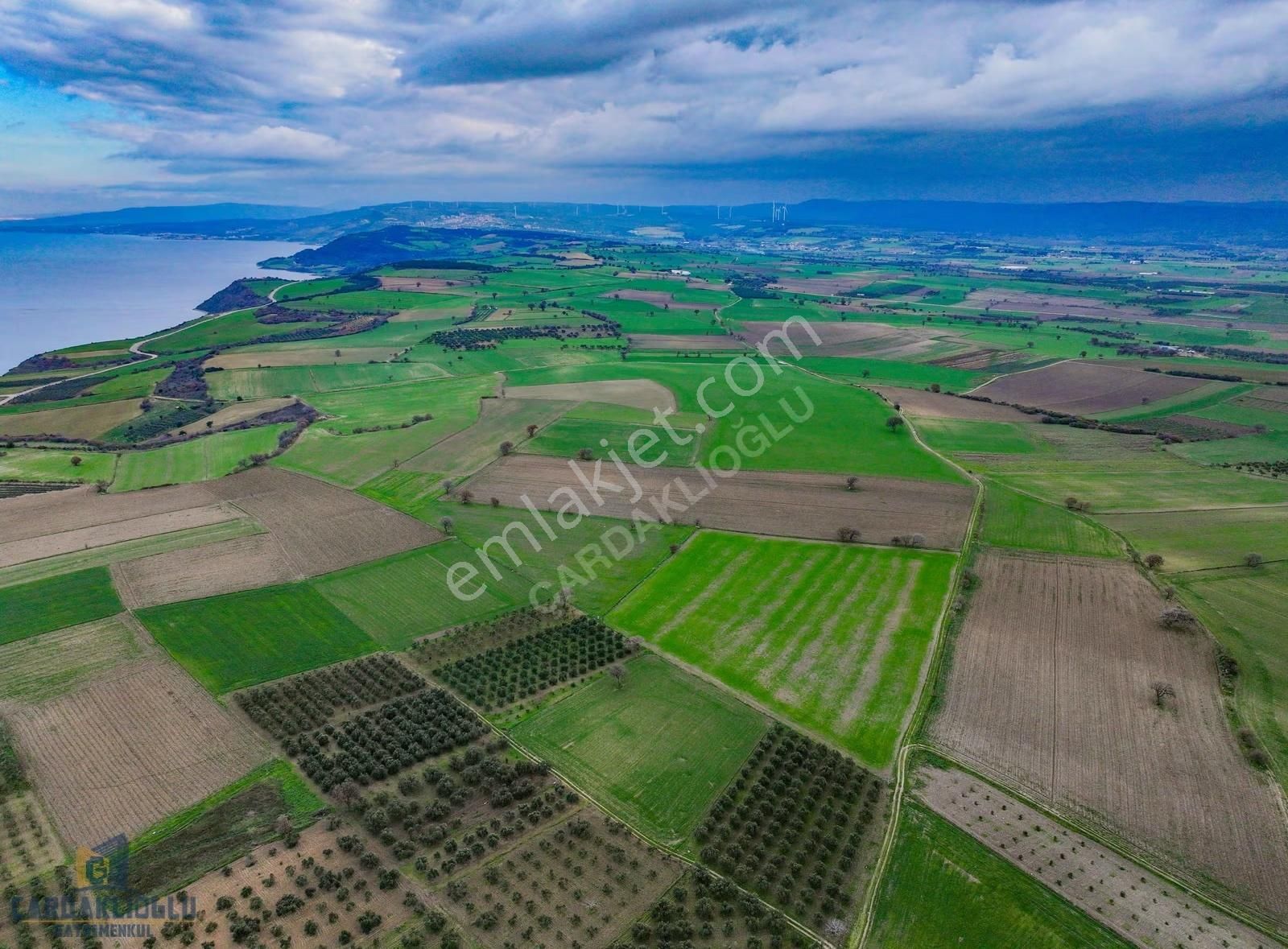 Çanakkale Kumkale İçerisinde Zeytinlik Ve Konteynır Olan Tarla - Görsel 11