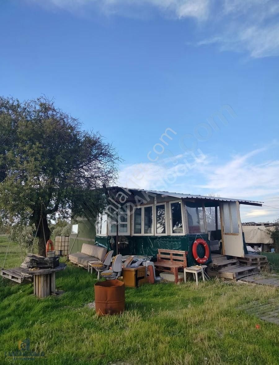 Çanakkale Kumkale İçerisinde Zeytinlik Ve Konteynır Olan Tarla - Görsel 4