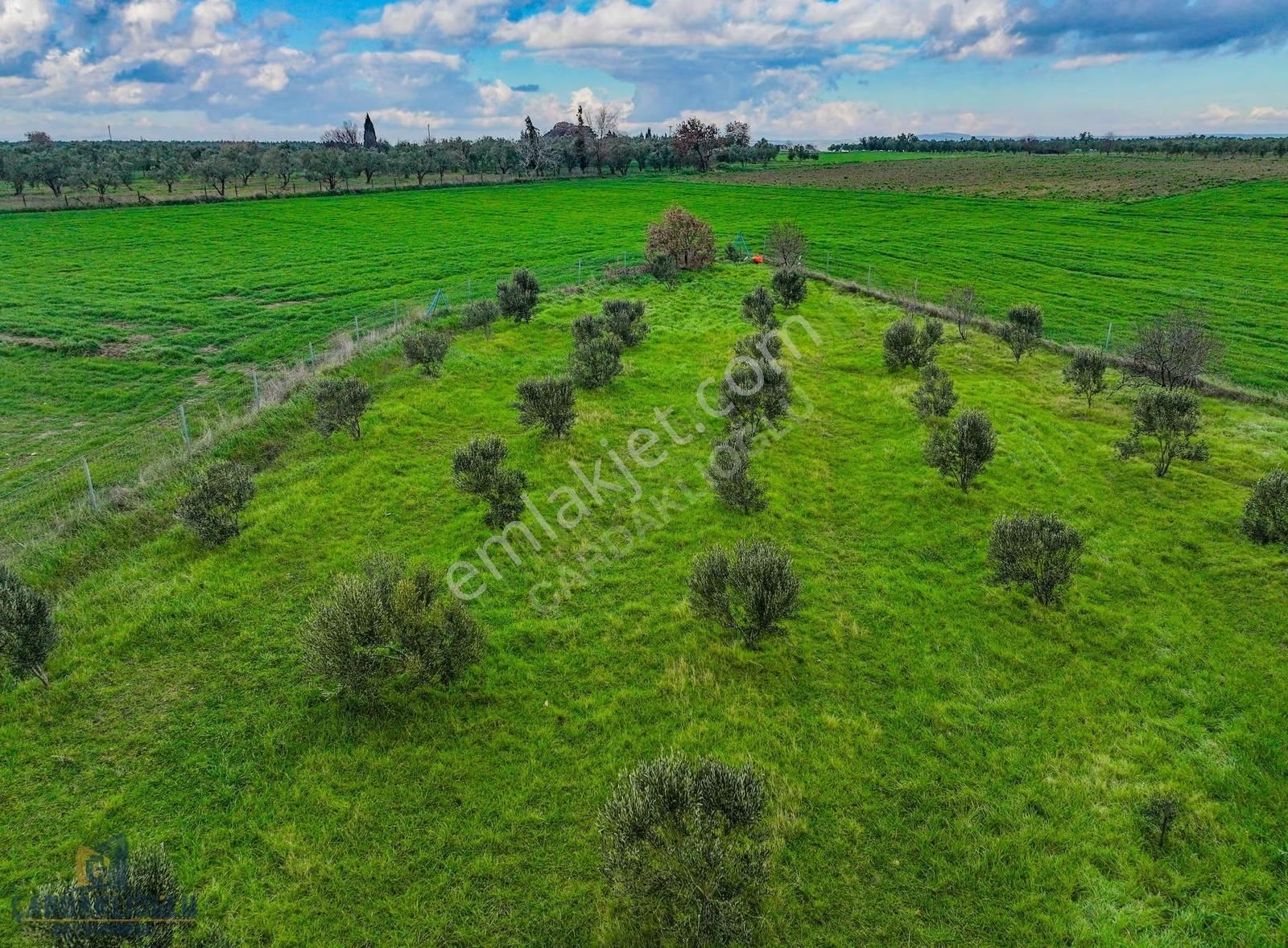 Çanakkale Kumkale İçerisinde Zeytinlik Ve Konteynır Olan Tarla - Görsel 12