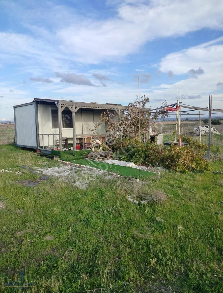 Çanakkale Kumkale İçerisinde Zeytinlik Ve Konteynır Olan Tarla - Görsel 3