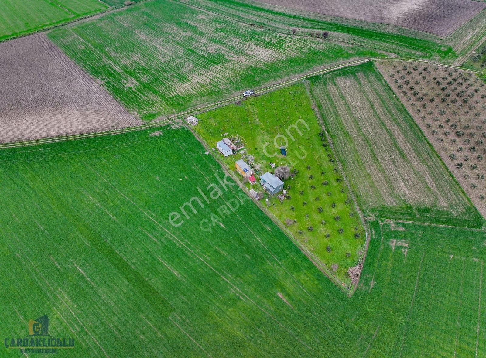 Çanakkale Kumkale İçerisinde Zeytinlik Ve Konteynır Olan Tarla - Görsel 18