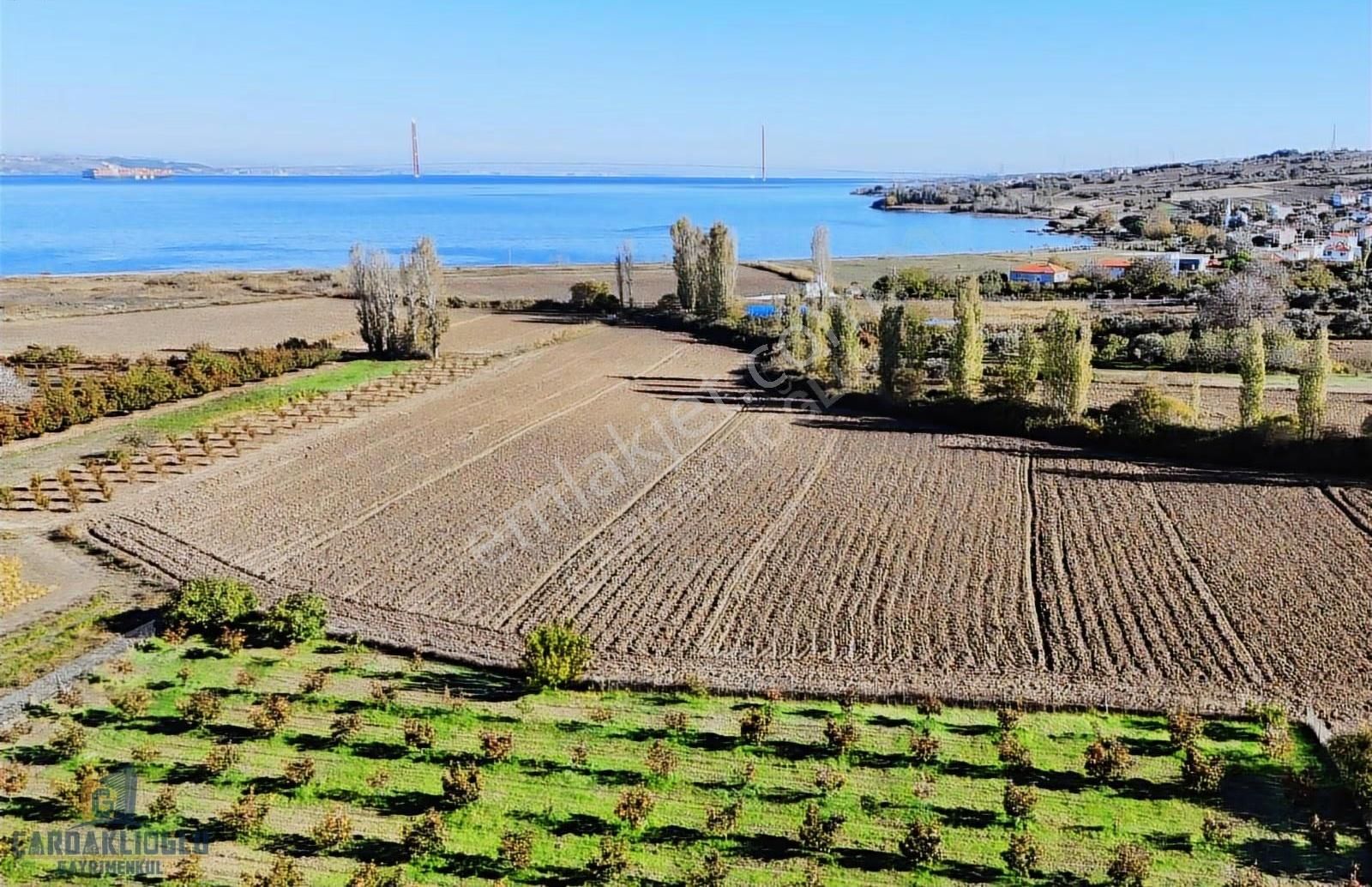 Çanakkale Lapseki Kemiklialan Satılık Imar Sınırında Super Tarla