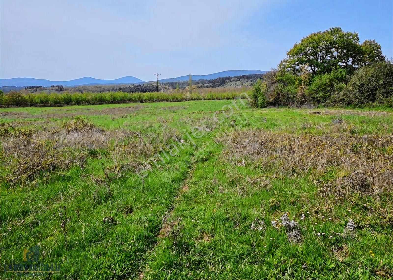Çanakkale Bayramiç Karaköyde Satılık Harıka Konumda Tarla - Görsel 5