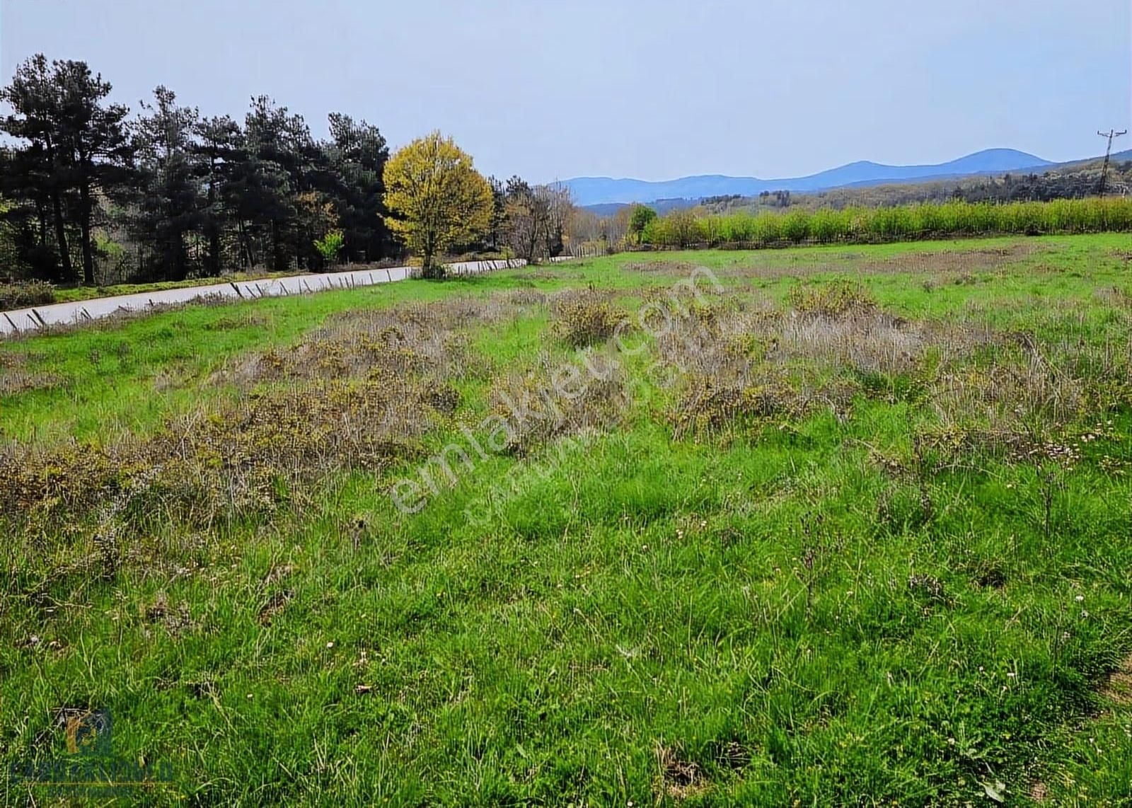 Çanakkale Bayramiç Karaköyde Satılık Harıka Konumda Tarla - Görsel 10