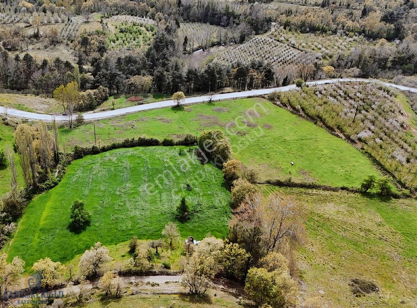 Çanakkale Bayramiç Karaköyde Satılık Harıka Konumda Tarla - Görsel 11