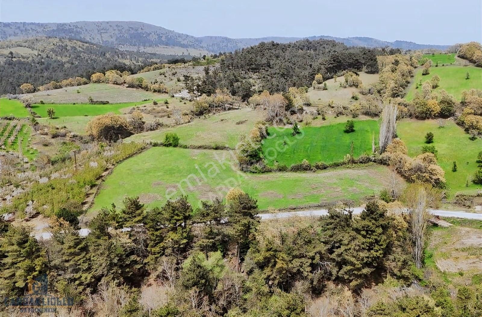 Çanakkale Bayramiç Karaköyde Satılık Harıka Konumda Tarla - Görsel 2