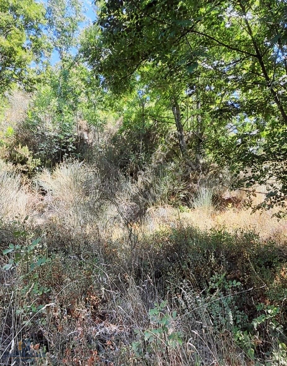 Çanakkale Biga Yolindi Köyünde Satılık Harıka Konumda Tarla - Görsel 6