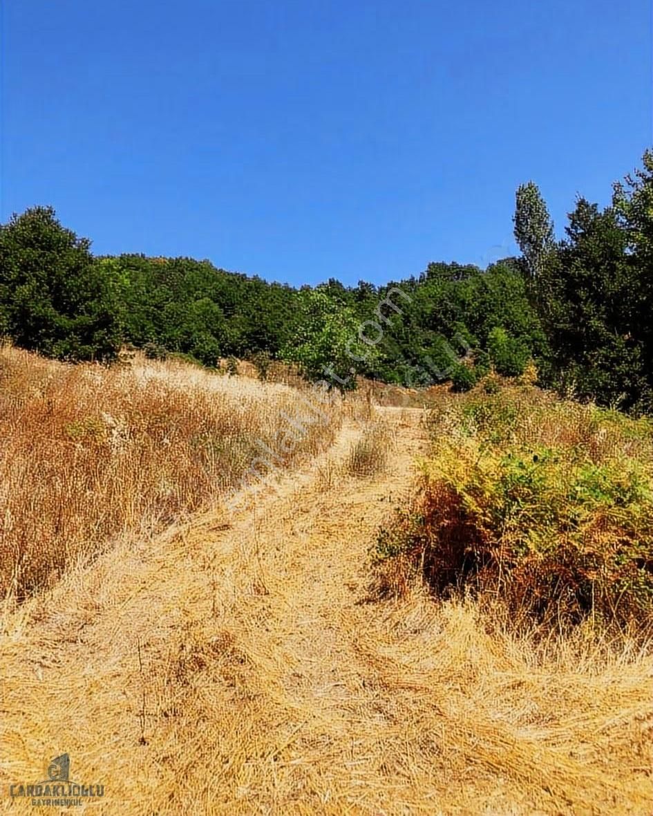 Çanakkale Biga Yolindi Köyünde Satılık Harıka Konumda Tarla - Görsel 12