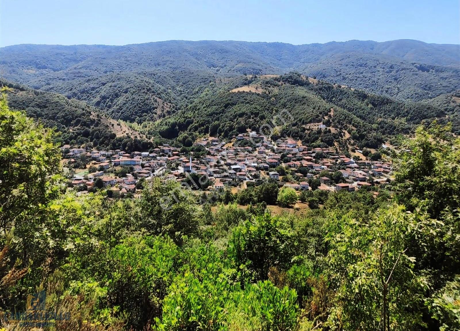 Çanakkale Biga Yolindi Köyünde Satılık Harıka Konumda Tarla