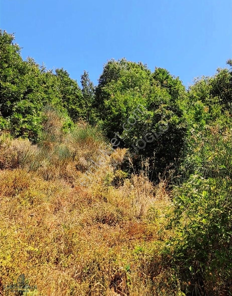 Çanakkale Biga Yolindi Köyünde Satılık Harıka Konumda Tarla - Görsel 8