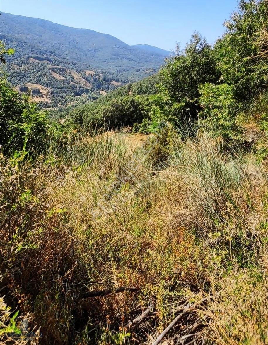 Çanakkale Biga Yolindi Köyünde Satılık Harıka Konumda Tarla - Görsel 10