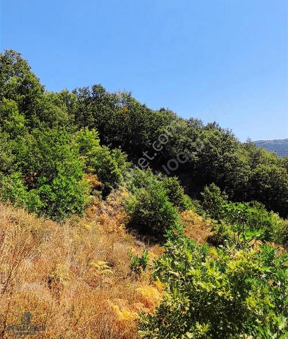 Çanakkale Biga Yolindi Köyünde Satılık Harıka Konumda Tarla - Görsel 9