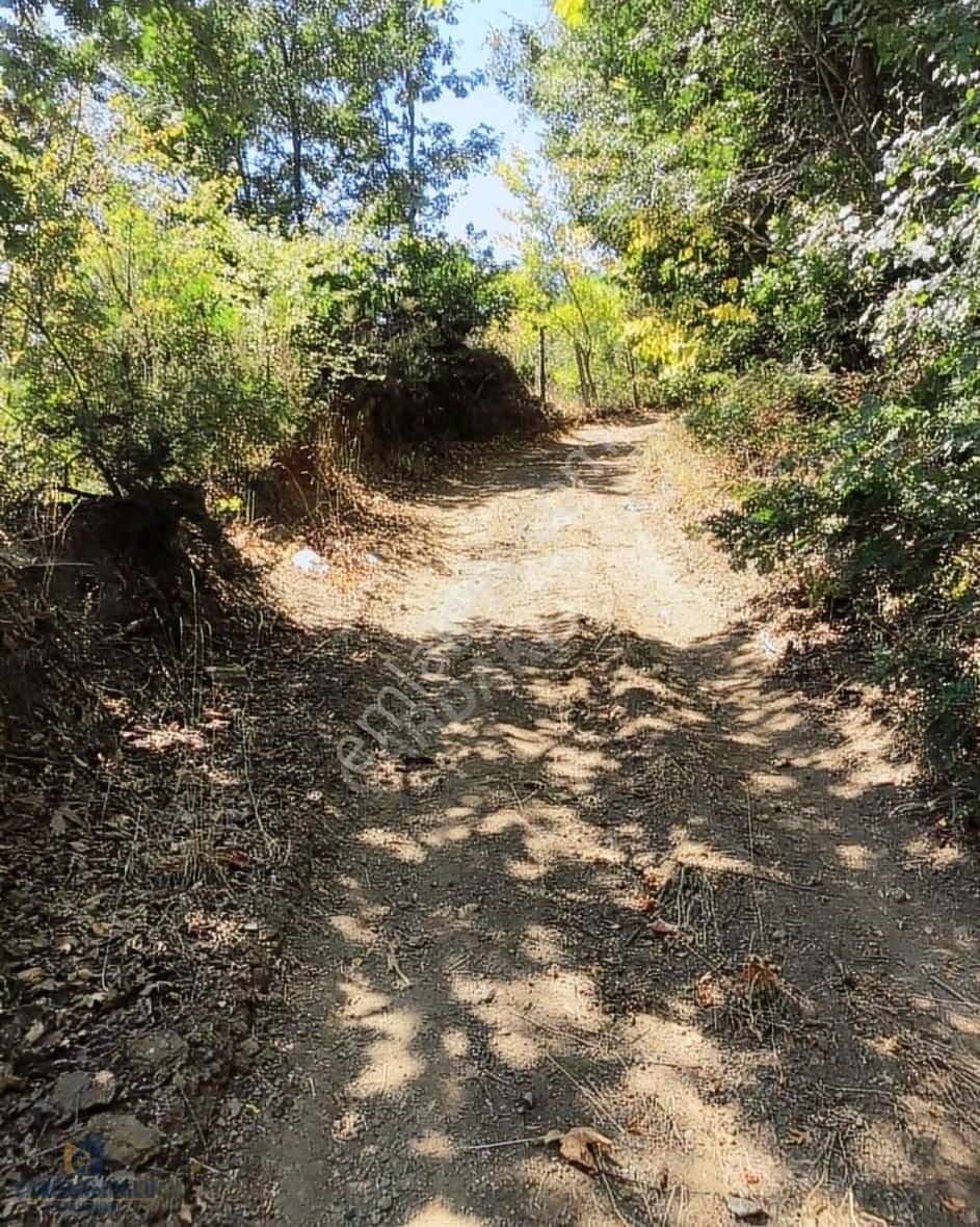 Çanakkale Biga Yolindi Köyünde Satılık Harıka Konumda Tarla - Görsel 11