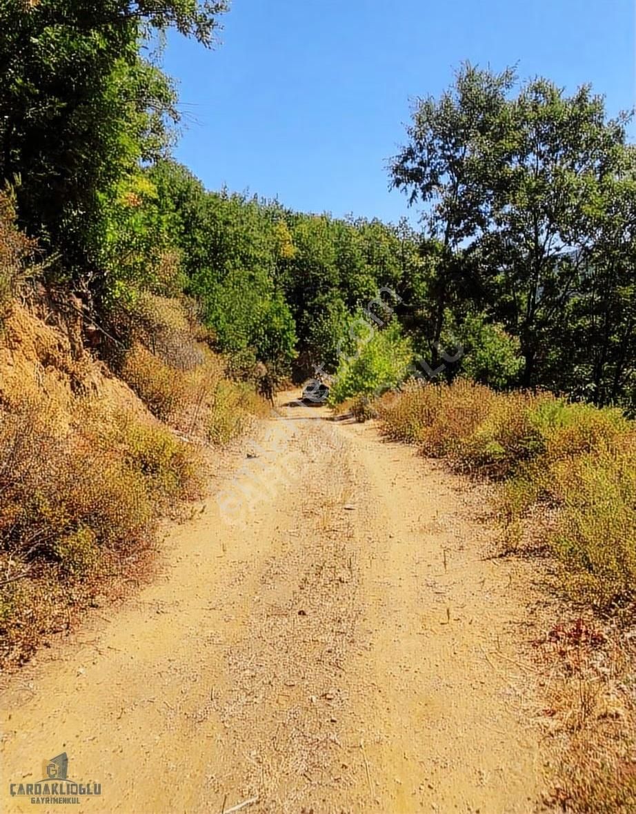 Çanakkale Biga Yolindi Köyünde Satılık Harıka Konumda Tarla - Görsel 4
