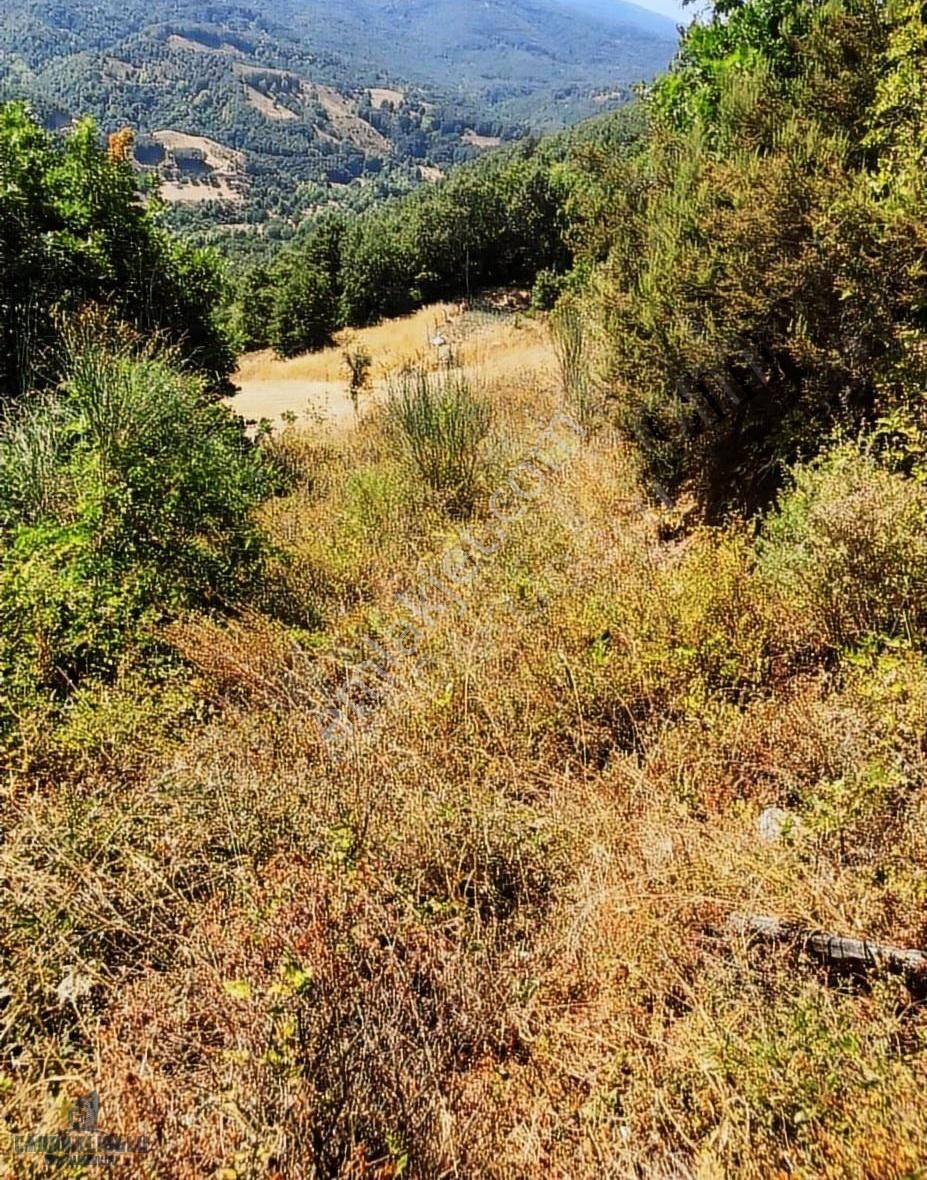 Çanakkale Biga Yolindi Köyünde Satılık Harıka Konumda Tarla - Görsel 3