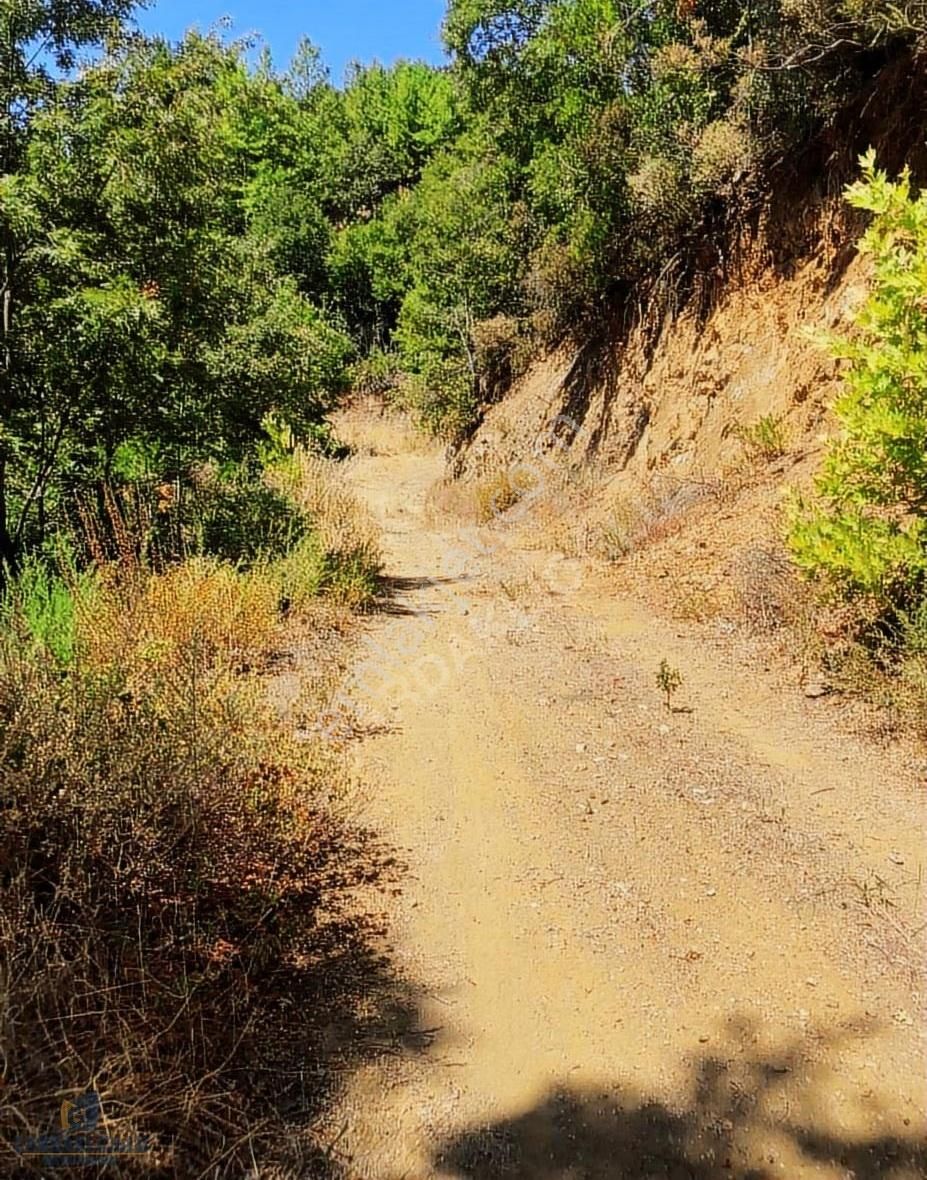 Çanakkale Biga Yolindi Köyünde Satılık Harıka Konumda Tarla - Görsel 13