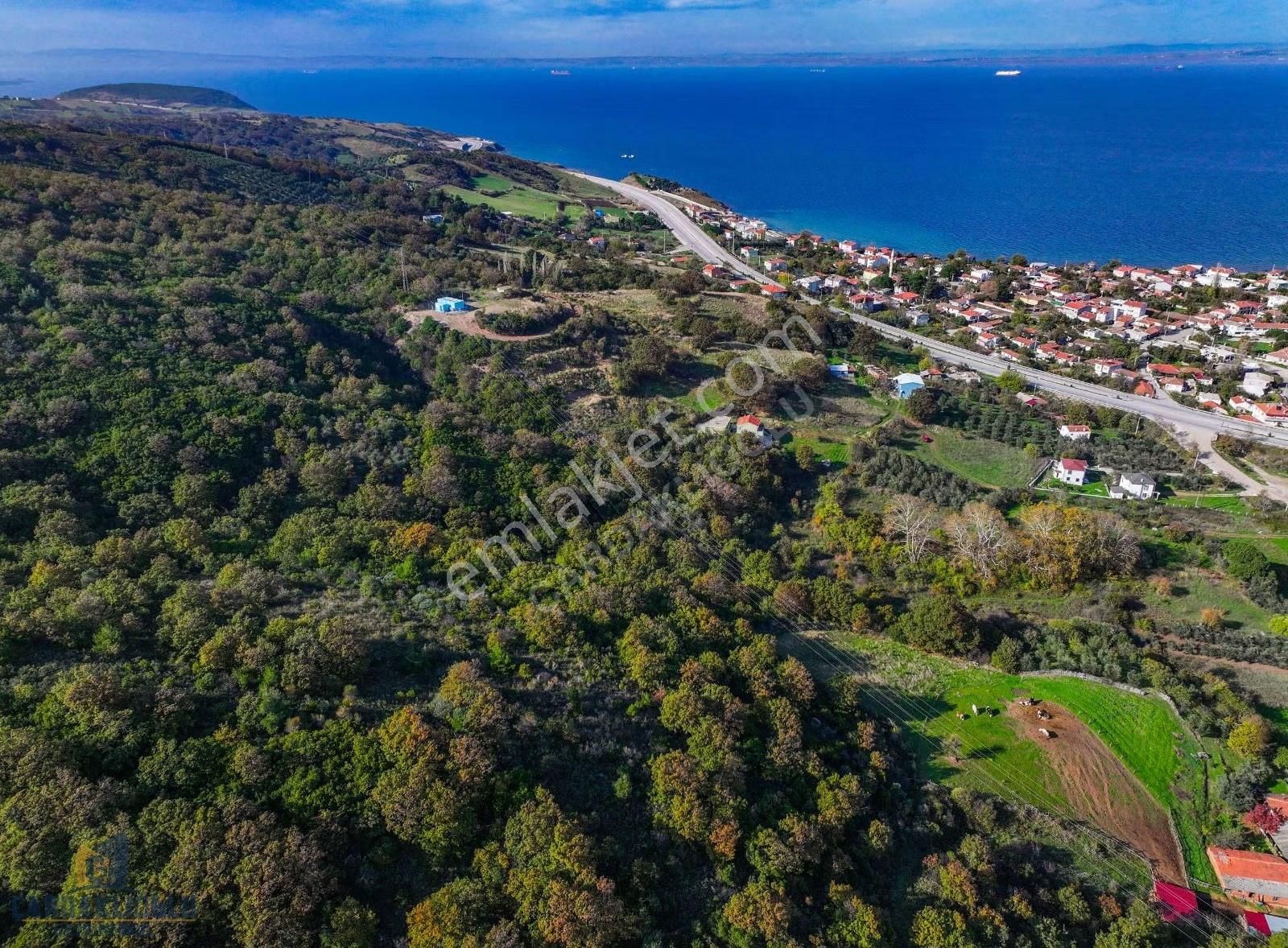 Çanakkale Şevketiye'de İmar Sınırında Yatırım Fırsatı - Görsel 15