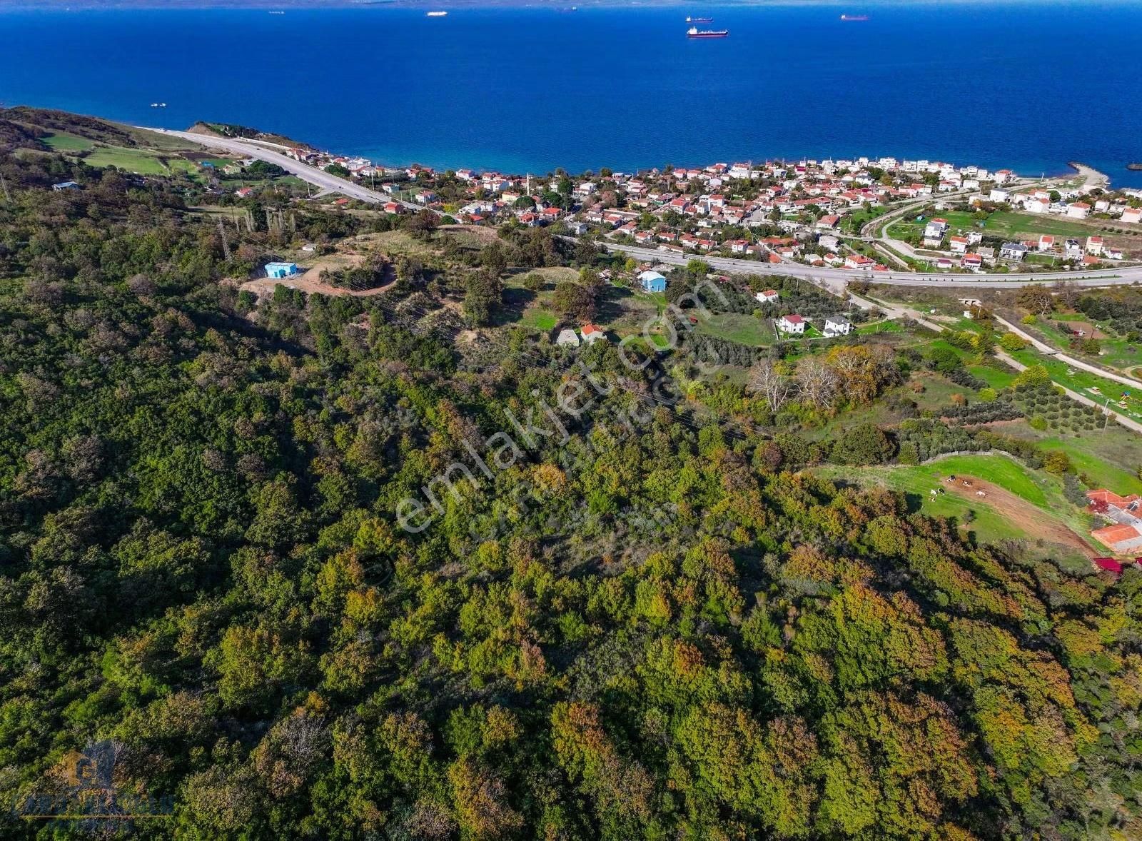 Çanakkale Şevketiye'de İmar Sınırında Yatırım Fırsatı - Görsel 14