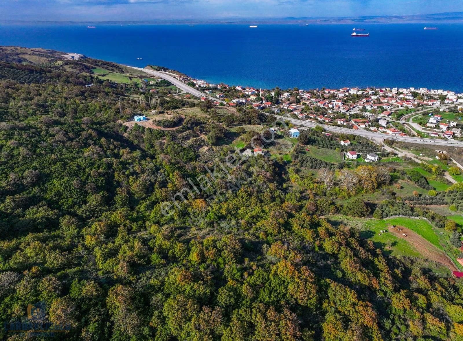 Çanakkale Şevketiye'de İmar Sınırında Yatırım Fırsatı - Görsel 12