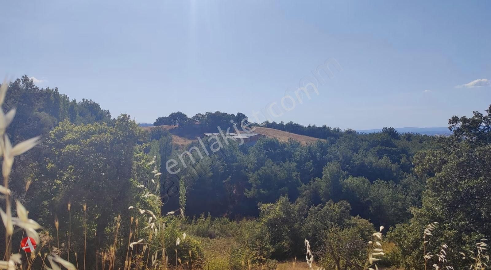 Çanakkale, Bayramiç, Kurşunlu Köyü, 5.292 M2 Satılık Arazi - Görsel 4