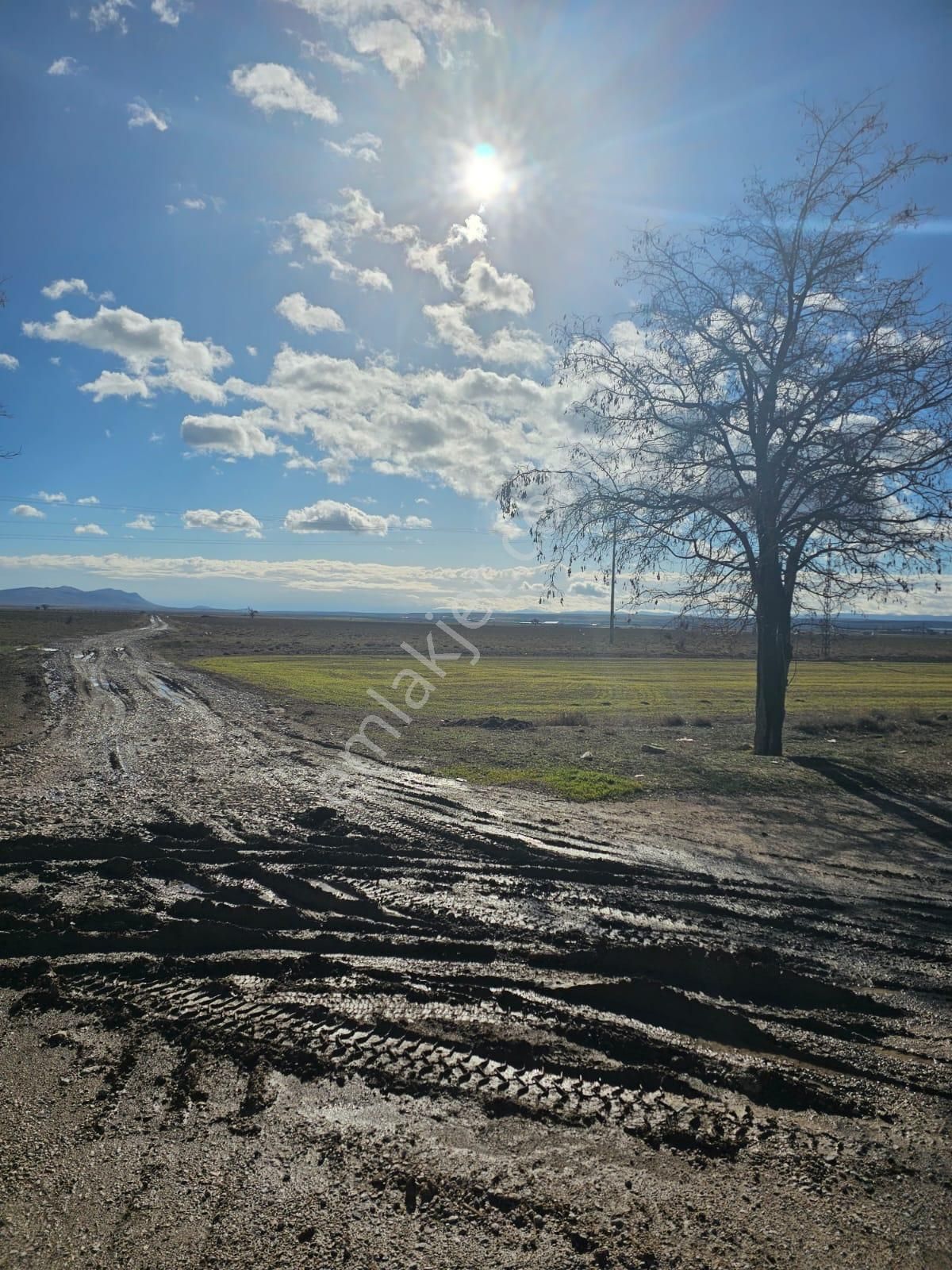 🛑hatunsaray'da 4.274 M² Anayola Yakın Müstakil Bahçe - Görsel 9