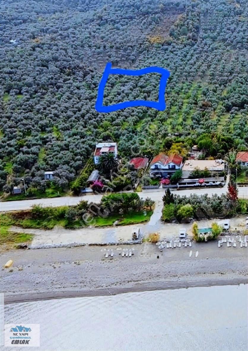 395m2 Zeytinlik - Görsel 5