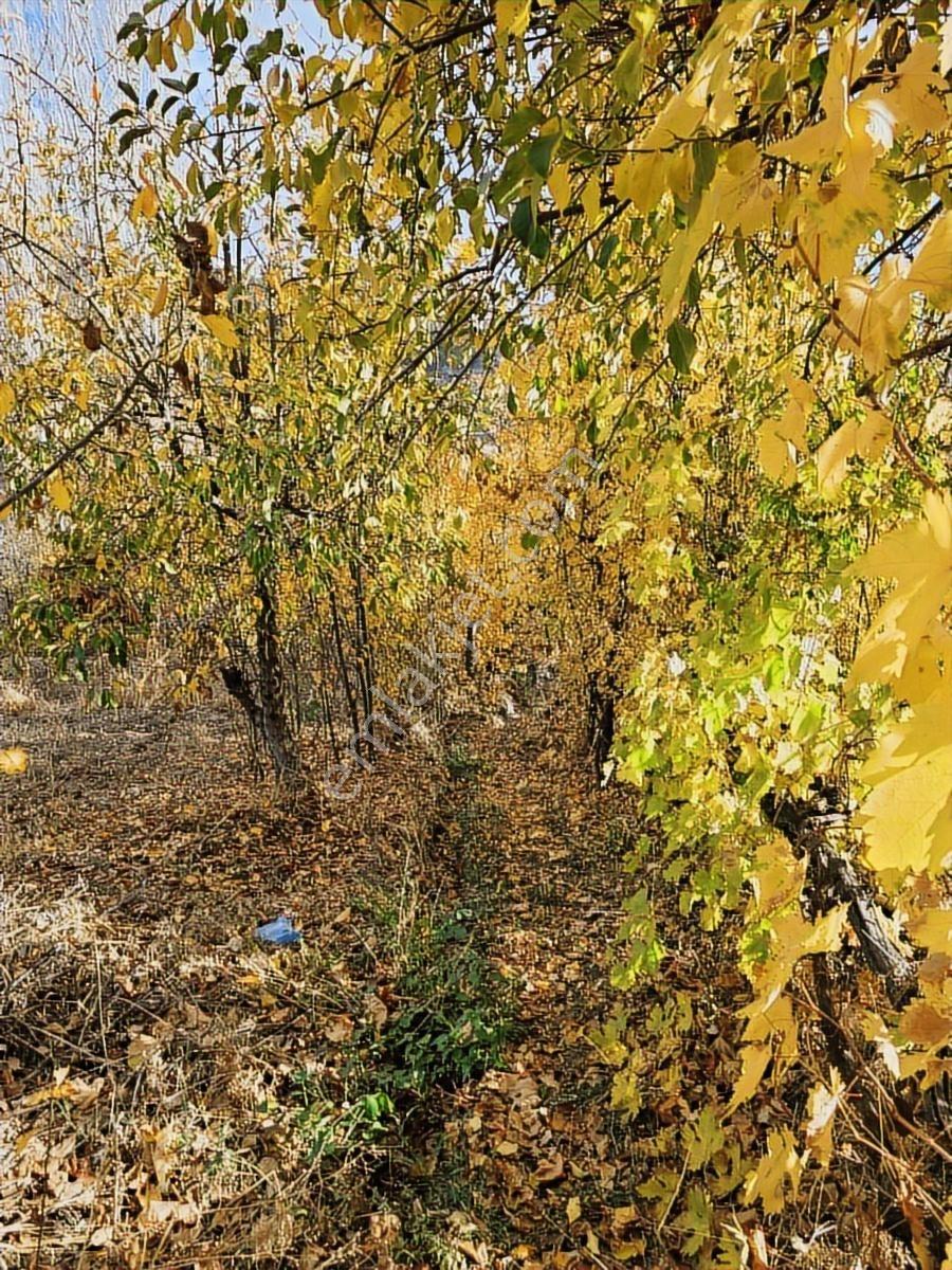 Sarıveliler'de Satılık 5420 M2 Arsa Ve Ev - Görsel 23