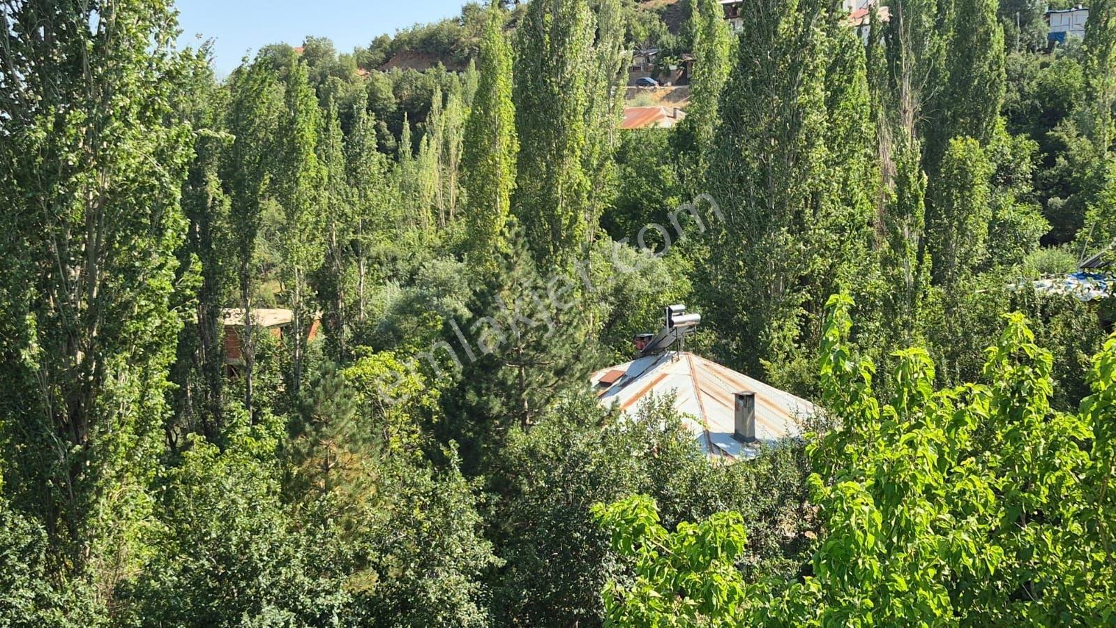 Sarıveliler'de Satılık 5420 M2 Arsa Ve Ev - Görsel 6