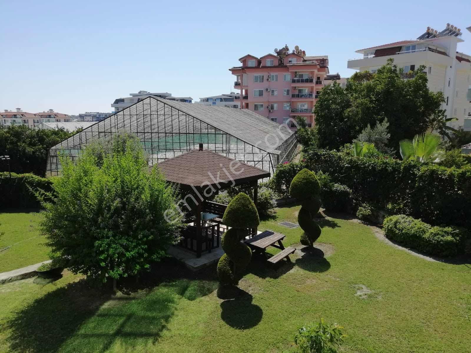 Olive City Satılık Lüx Sitede 1+1 - Görsel 9