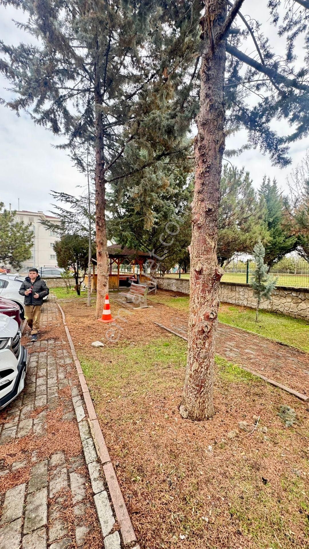 Es -as'tan Topçu Mh.de Kaçırılmayacak Fırsat Daire Cadde Üstü Masrafsız 3.kat Satılık Daire - Görsel 16