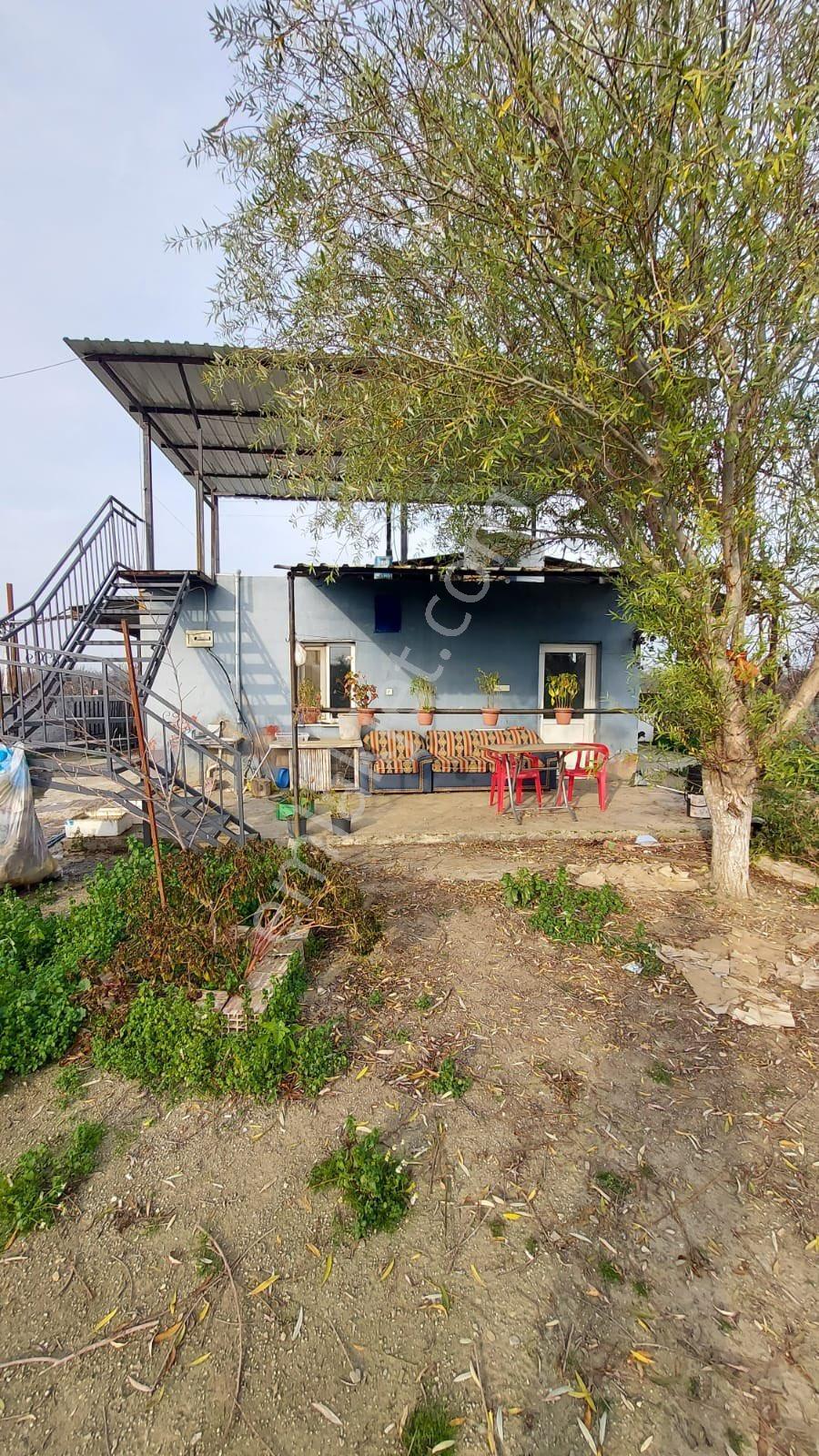 Prestijli Büyükbaş Hayvancılık Tesisi - Görsel 15