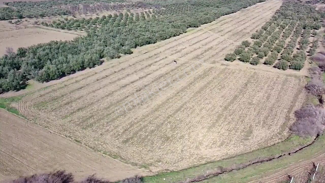 Seçkin Yatırımcılar İçin Kaçırılmaz Fırsat Tarla - Görsel 7