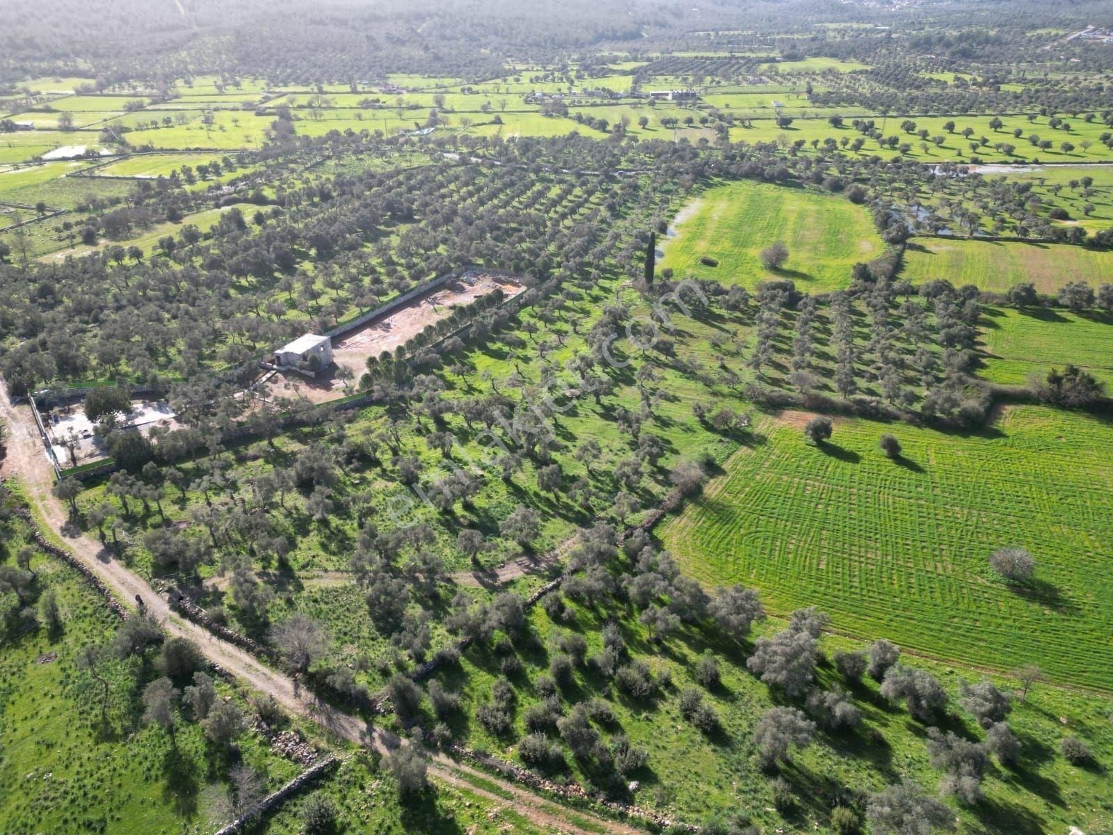 Kazıklı Koyuna 1200 Mt.yakınlıkta Yeni İmar Bölgesi İçinde - Görsel 10