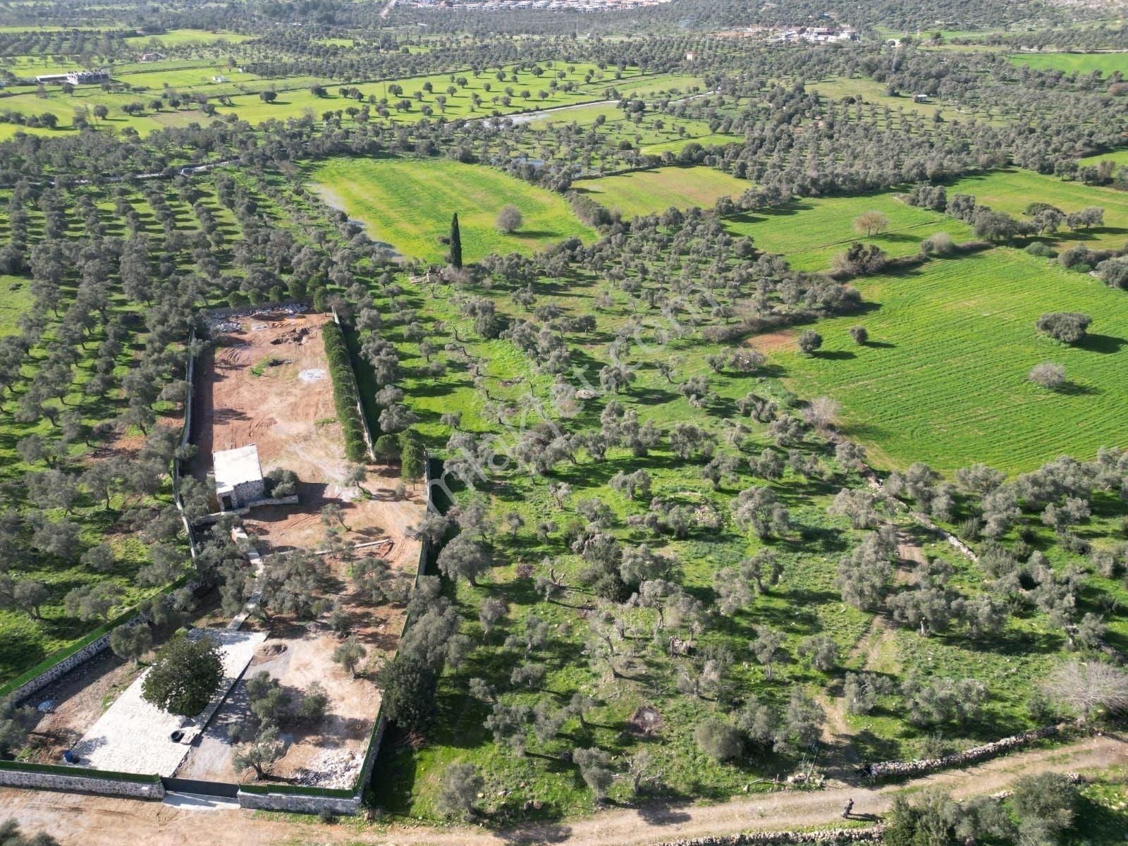 Kazıklı Koyuna 1200 Mt.yakınlıkta Yeni İmar Bölgesi İçinde - Görsel 9