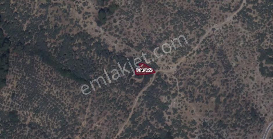 Bayındır Kızıloba Mevkii Yatırımlık 330 M2 Zeytinlik