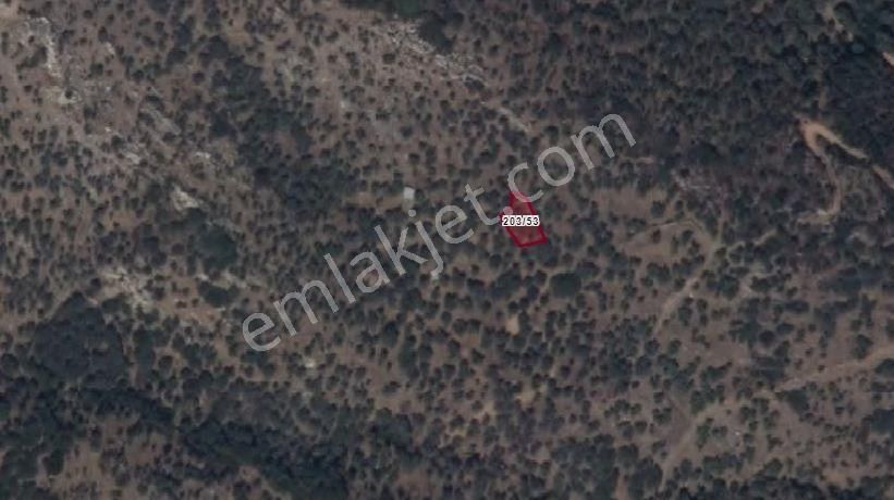 Bayındır Ergenli Mevkii Yatırımlık 225 M2 Zeytinlik