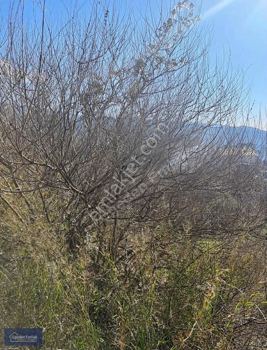 Egeden Emlak Gökbel Satılık 2 Parsel Tarla - Görsel 7