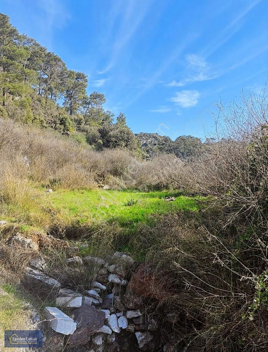 Egeden Emlak Gökbel Satılık 2 Parsel Tarla - Görsel 3
