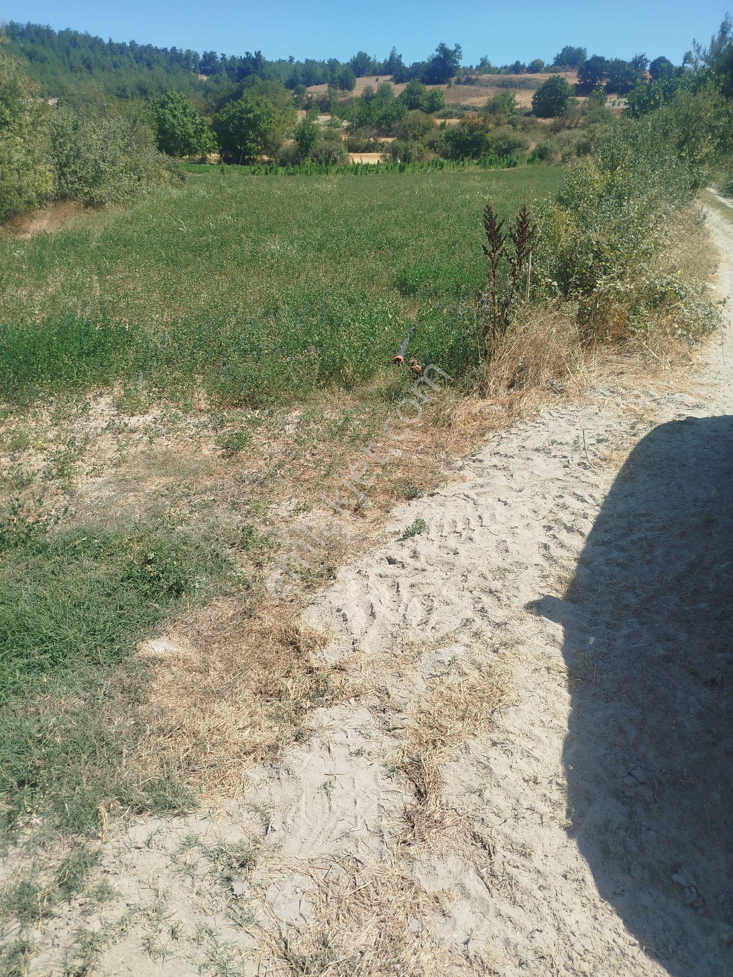 Yatırımlık Balıkesir Merkeze 18 Dk - Görsel 4