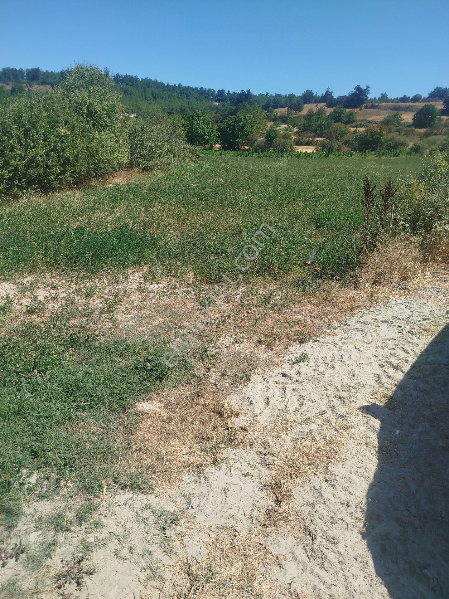Yatırımlık Balıkesir Merkeze 18 Dk