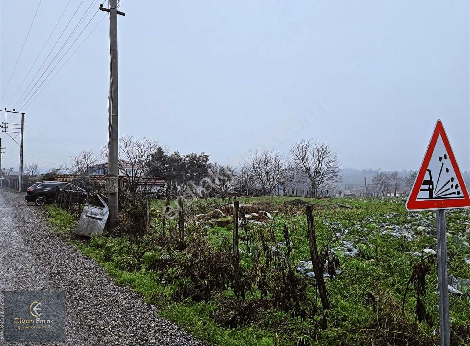 Civan'dan Bafra Osmanbeylide Köy Yerleşkesi İçerisinde Tarla - Görsel 2