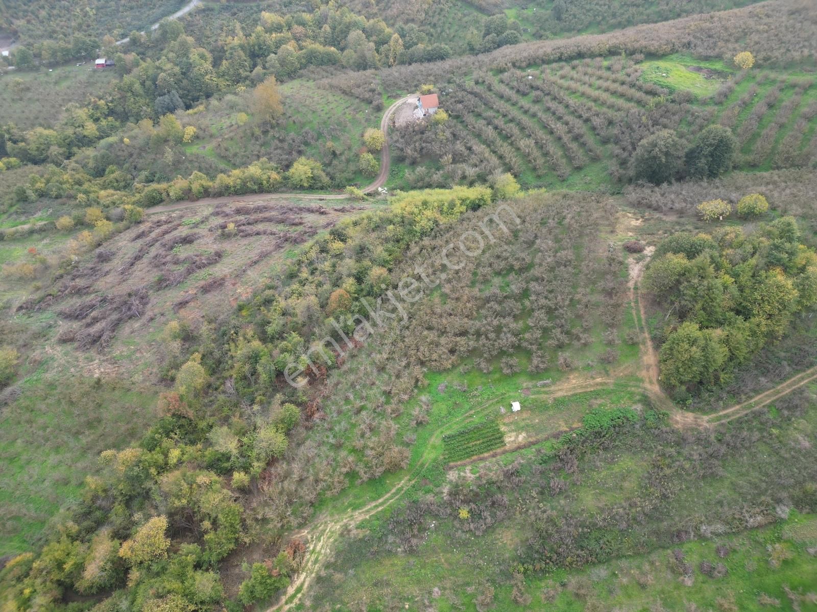 Kazımpaşada Satılık Arazi - Görsel 2