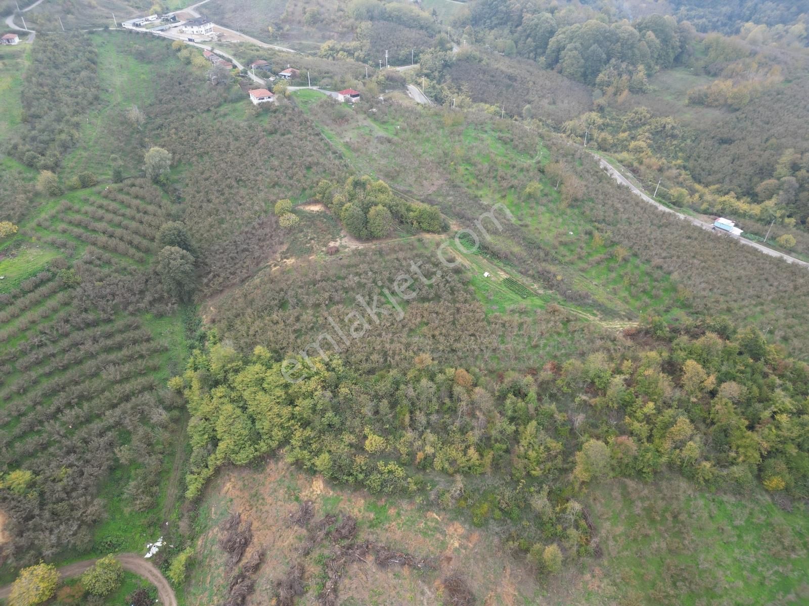 Kazımpaşada Satılık Arazi - Görsel 5