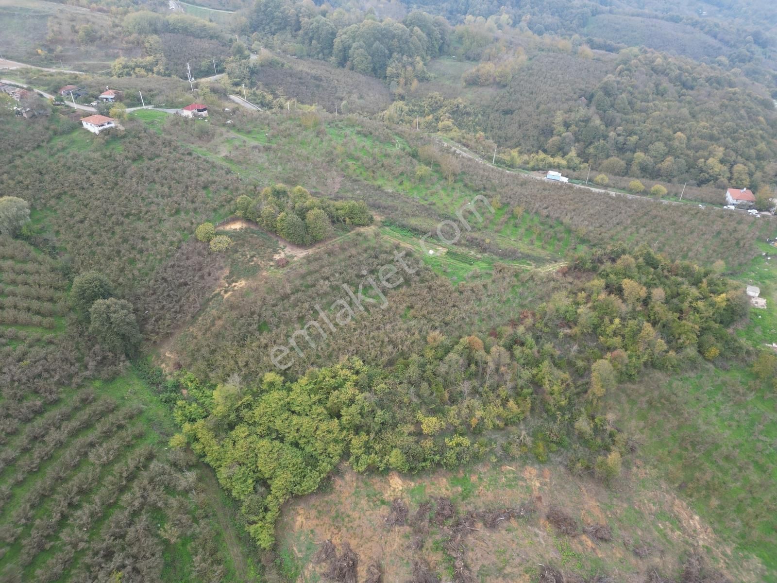 Kazımpaşada Satılık Arazi - Görsel 3