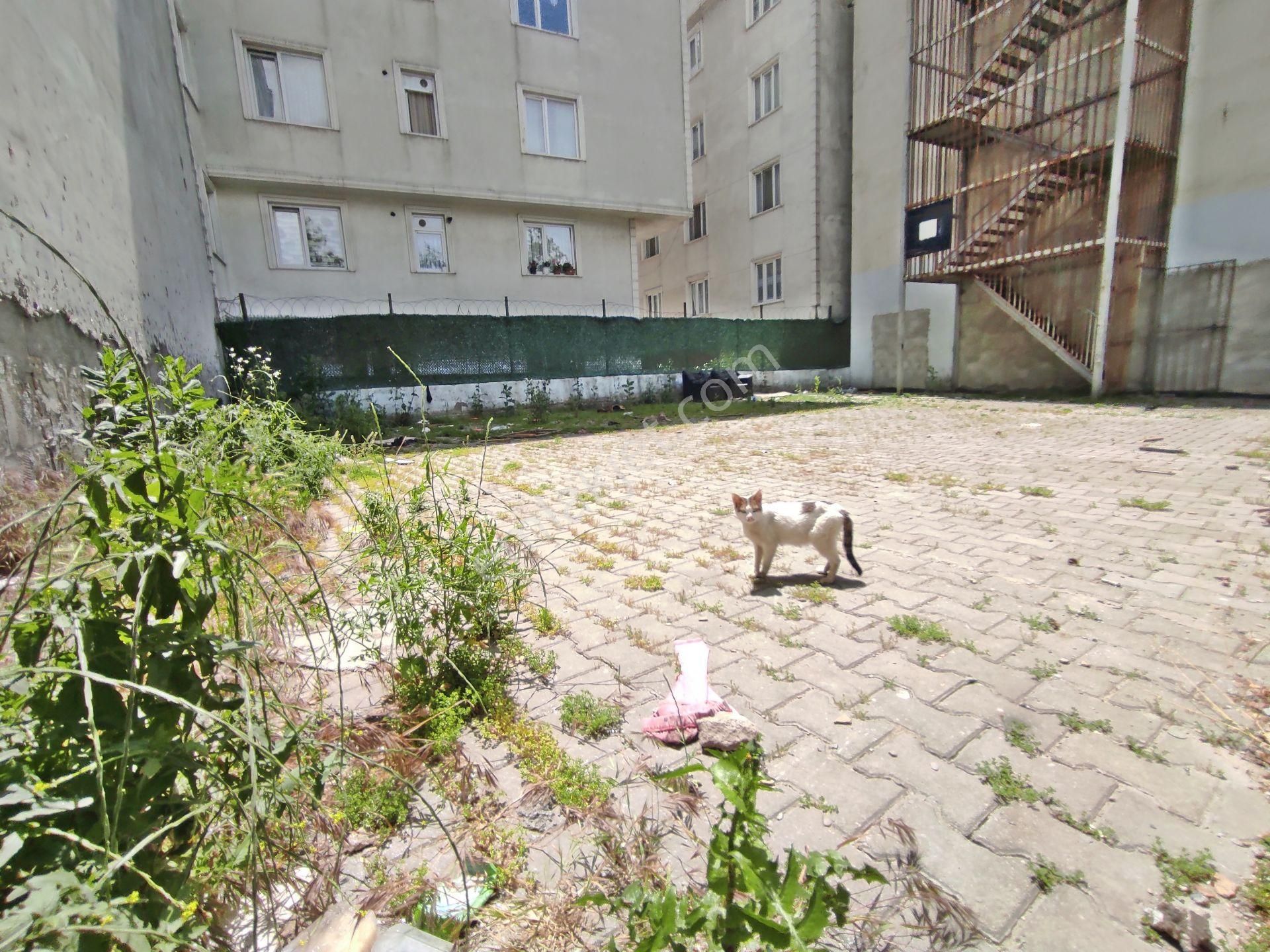 Esenyurt Fatih Mah 19,mayıs Bulvarı Üstünde 273,m2-ticari Arsa - Görsel 16