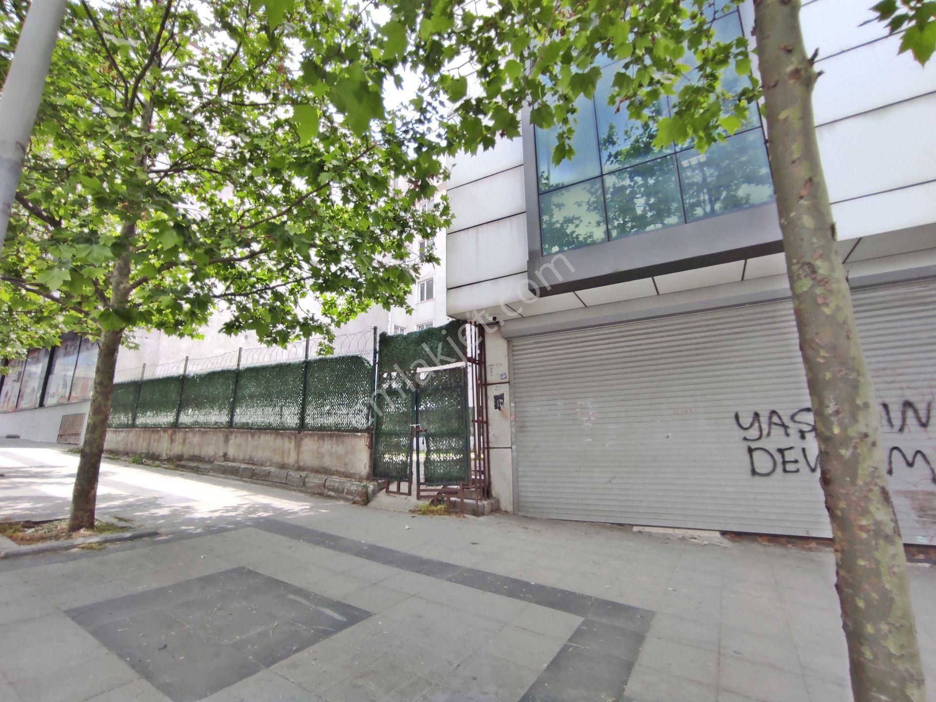 Esenyurt Fatih Mah 19,mayıs Bulvarı Üstünde 273,m2-ticari Arsa - Görsel 19