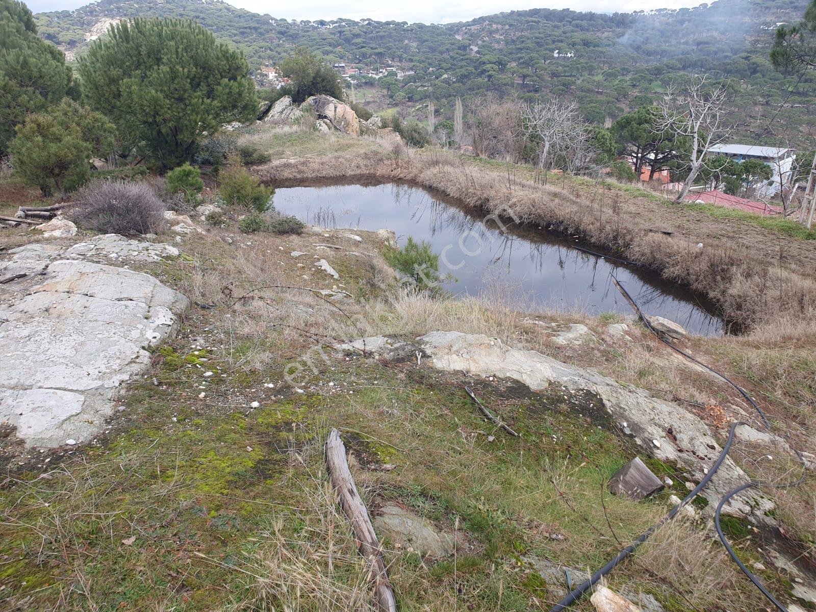Aydın Bozdoğan Altıntaş’ta Yol Kenarı, Manzaralı Satılık Arazi!