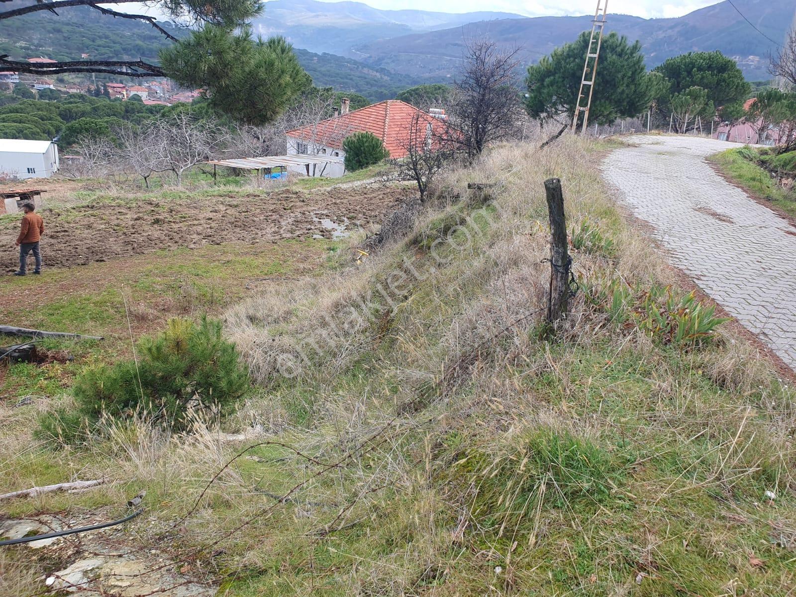 Aydın Bozdoğan Altıntaş’ta Yol Kenarı, Manzaralı Satılık Arazi! - Görsel 5
